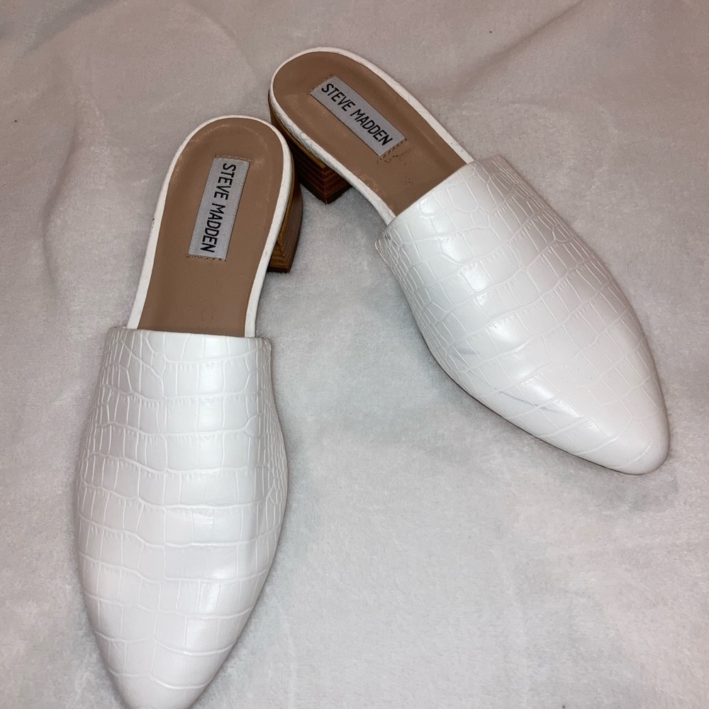 Steve madden